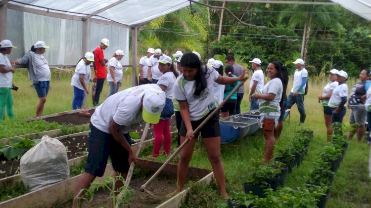 SEMPA, em parceria com o Governo do Estado, realizaram cursos capacitação de caseiro rural e horta rural em SIRN.