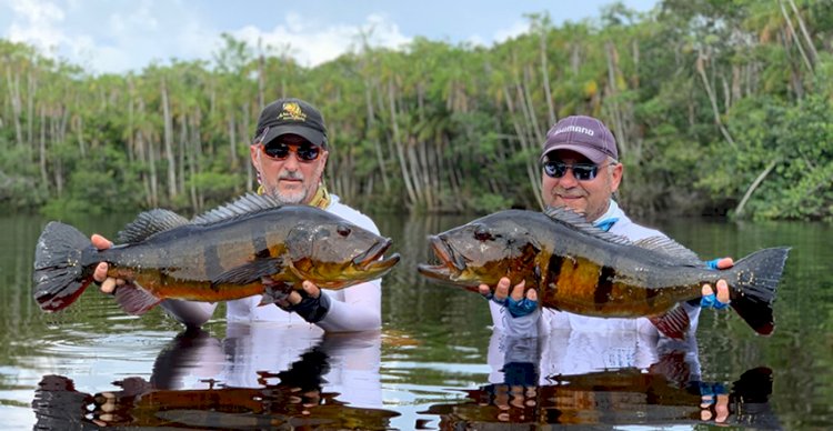 Pesca Esportiva SIRN - News Noticias - O portal da sua noticia